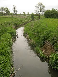 The Eden Brook