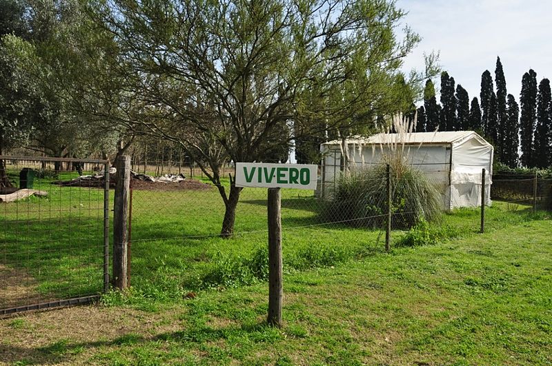 File:Entrada por el vivero (6026342868).jpg