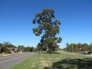 <span class="mw-page-title-main">Erindale Road</span> Road in Perth, Western Australia
