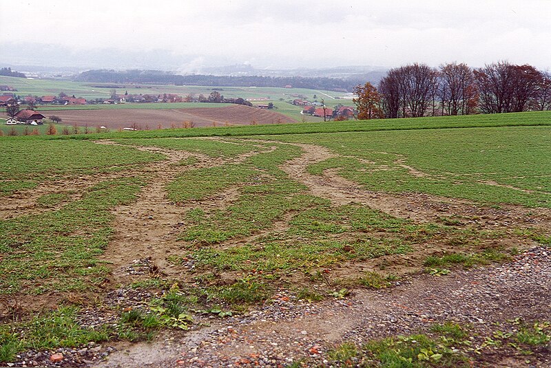 File:Erosion Rillen011.jpg