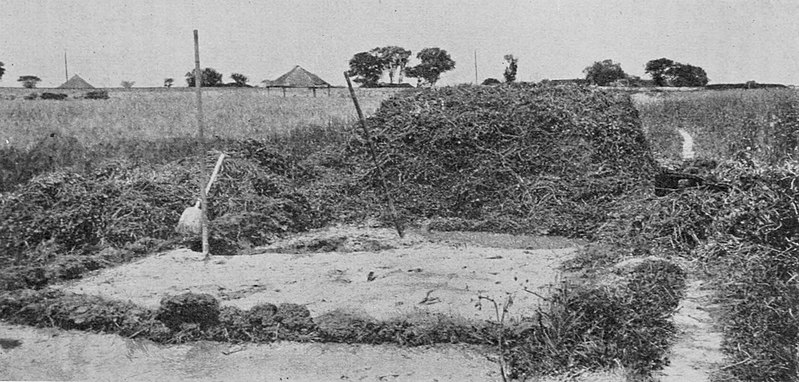 File:Farmers of forty centuries - Clover compost stack in the building.jpg