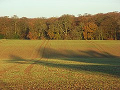 Farmland, Dunsden - geograph.org.uk - 1059280.jpg