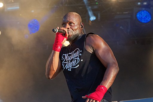 Festival des Vieilles Charrues 2017 - Kery James - 150