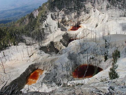 Arbres morts i tolls d'aigua vermella a causa del mercuri emès per un volcà
