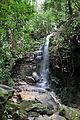 Floresta da Tijuca - Cachoeira das Almas