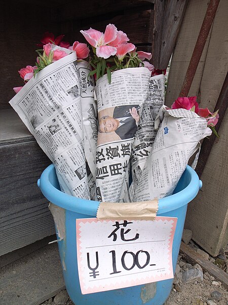 File:Flower, 100 yen (2564651912).jpg