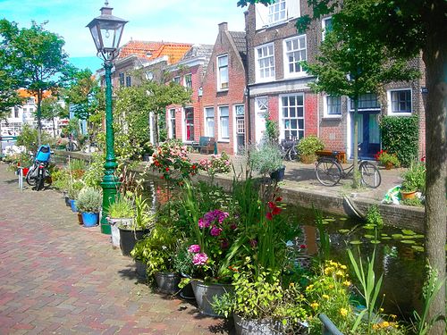 flowers and canals, Leiden, Holland