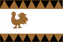 Vlag van Fochteloo
