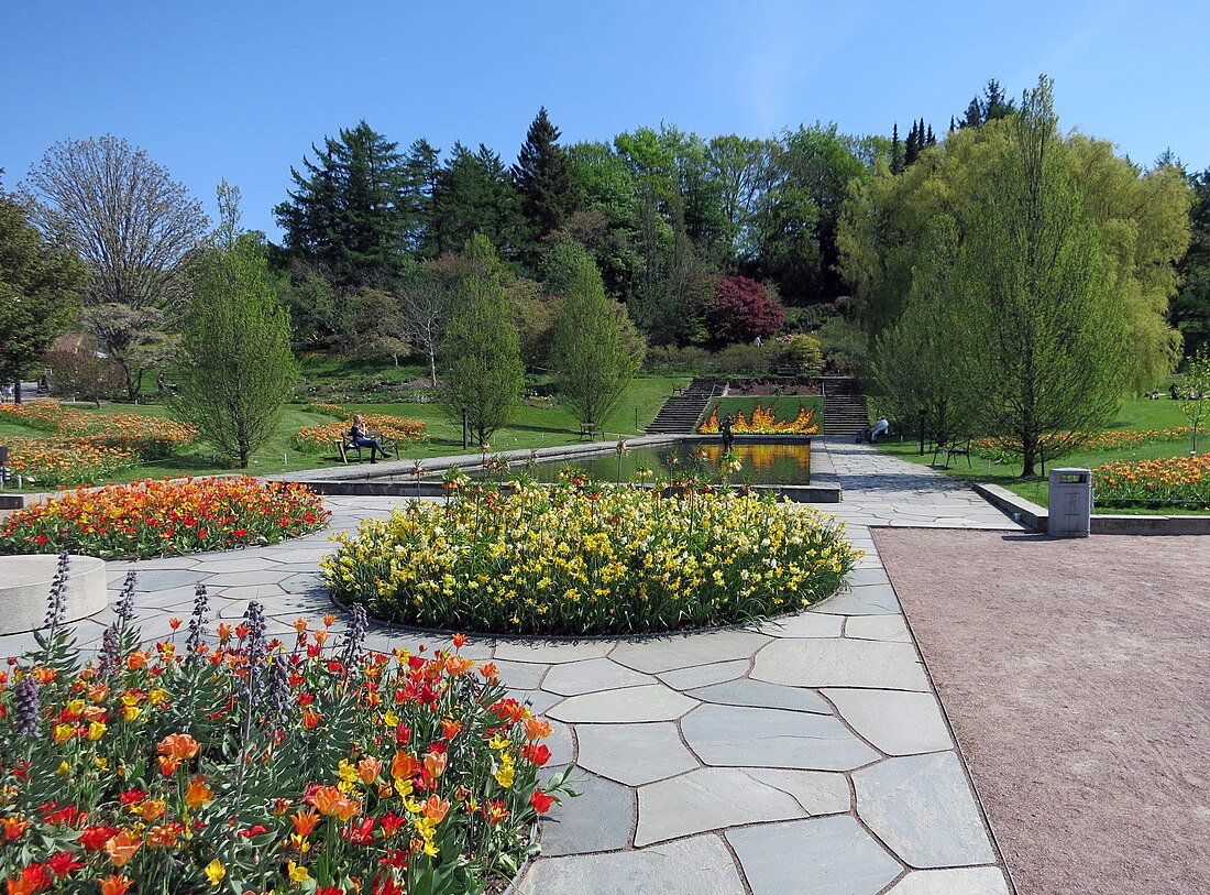 Göteborgs botaniska trädgård