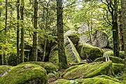 Günterfelsen bei Furtwangen im Schwarzwald