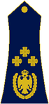 General-pukovnik Republika Srpska 1992.png