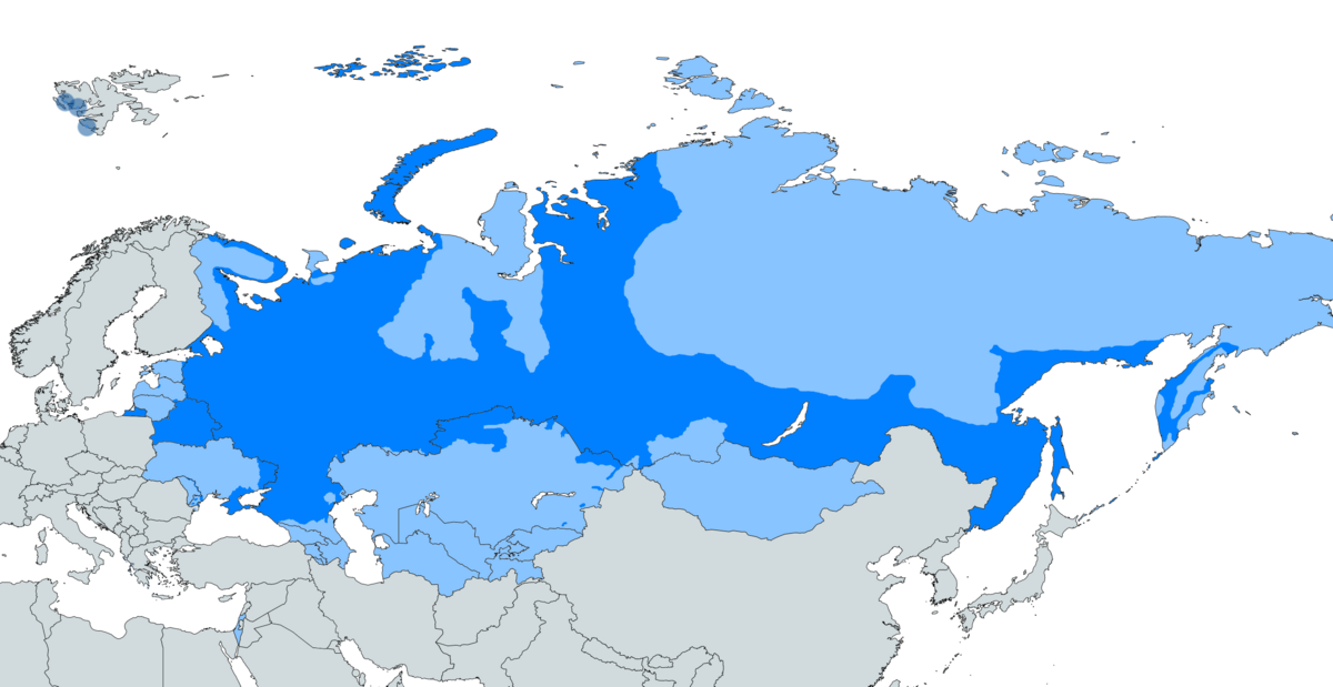 The German And Russian Language