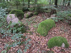 Großsteingrab Solchstorf 2