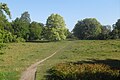 De 'Groene Long', Bussum-Zuid