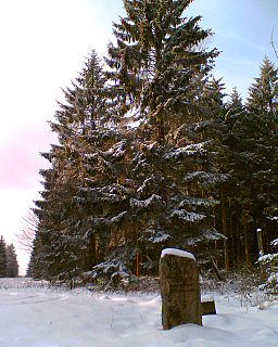 Große Blöße mountain