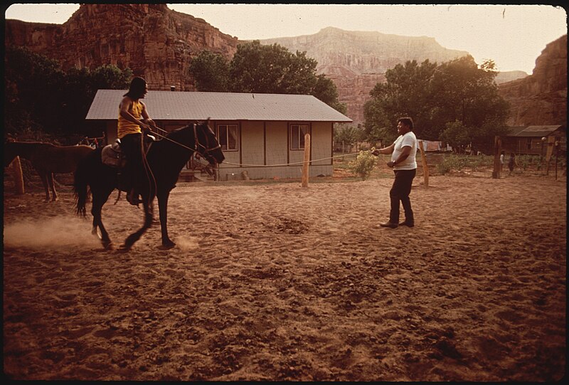 File:HANK TALMAN'S HOME IN THE NAVAJO NATION. THIS IS AN ABOVE AVERAGE REMOTE AREA HOME - NARA - 544362.jpg