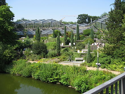 Greenhouses in the Alter Botanischer Garten Hamburg, designed by architect Bernhard Hermkes HH Mittelmeerterrassen.JPG