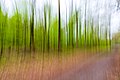 * Nomination Forest in the Hohe Mark Nature Park in Haltern am See, North Rhine-Westphalia, Germany. The photo in wiping technique was taken by moving the camera vertically. (This photograph is the second of a series of four.) --XRay 03:54, 1 May 2022 (UTC) * Promotion  Support Good quality.--Agnes Monkelbaan 04:28, 1 May 2022 (UTC)