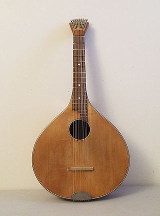 <span class="mw-page-title-main">Waldzither</span> German style of cittern, a plucked string instrument