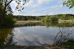 Burgelitz in Wangen im Allgäu