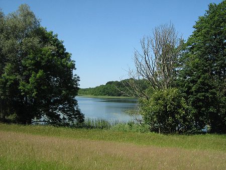 Havel Dambecker See 11 IV 2007 198