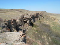 Buffalo Jump