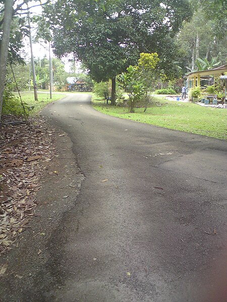 Jalan_raya_selorong