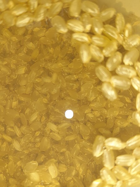 File:Hk food yellow seeds rice February 2021 SS2 04.jpg