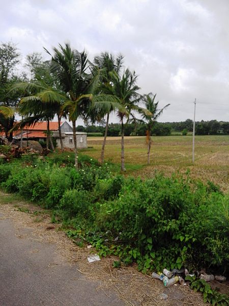 File:Hosakottai . Sutturu.jpg