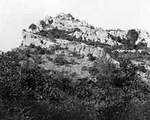 The Hosselkus Limestone where remains of Thalattosaurus have been found Hosselkus limestone top Brock-Mountain.jpg