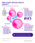 Thumbnail for File:How Obesity Could Lead To Cancer.svg