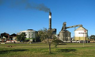 <span class="mw-page-title-main">Sugarcane mill</span> Factory that processes sugar cane to produce raw or white sugar