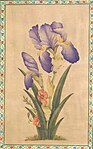 Irises, Zand era