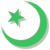 Islam symbol plane2 green.png