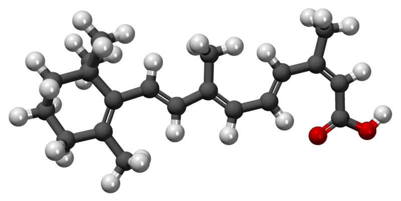 Isotretinoina En Línea