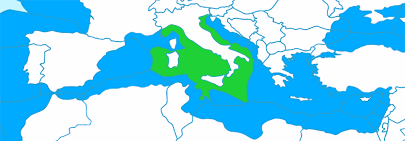 File:Italy-Exclusive-Economic-Zone-Map.png