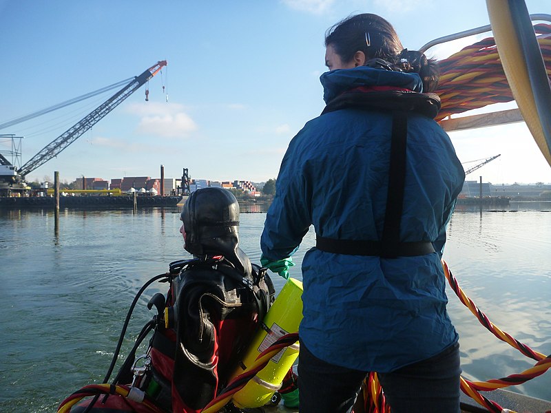 File:January 15, 2013 - Getting on target, Lower Duwamish River, WA (8409125684).jpg