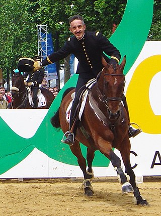 <span class="mw-page-title-main">Jean-Luc Force</span> French equestrian