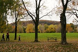 Jeanne mance park.jpg