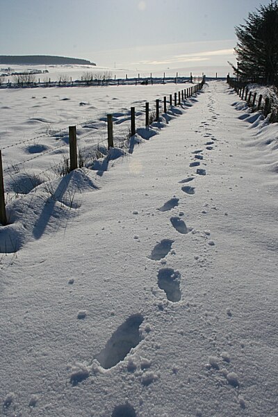 File:Just One Set of Footprints - geograph.org.uk - 1160865.jpg