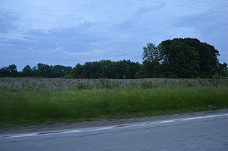 <span class="mw-page-title-main">Kamp Mound Site</span> Archaeological site in Illinois, United States