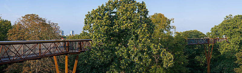 File:Kew Gardens Treetop Walkway - Sept 2008.jpg