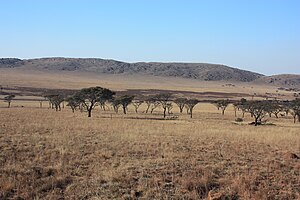 Kgaswane Mountain Reserve