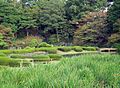御苑内の日本庭園