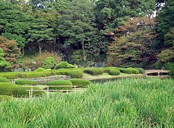 Japanischer Garten mit Iris im Vordergrund