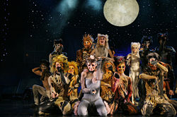 A Macskák a Roma Musical Theatre előadásában Varsóban (2007. december 8.)