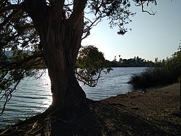 Danau Laguna 1.jpg