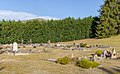 * Nomination Lake Hāwea Cemetery, New Zealand --Podzemnik 03:43, 5 August 2020 (UTC) * Promotion  Support Good quality. --XRay 03:47, 5 August 2020 (UTC)