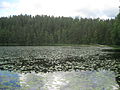 Lake Nuuksio National Park.JPG