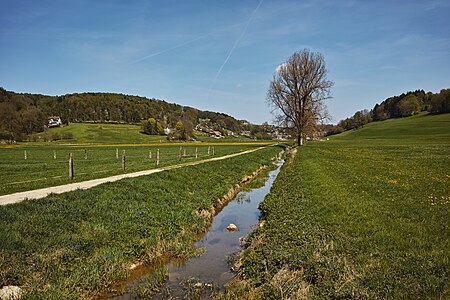 Lake Seewen 2018 04